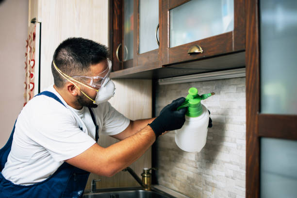 Best Affordable Pest Control Services  in Osakis, MN