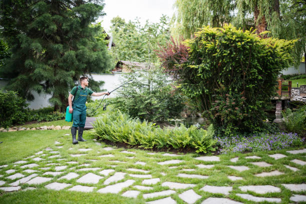 Wasp Removal Services in Osakis, MN