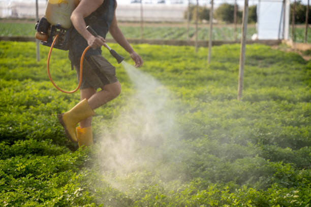 Best Mosquito Control Services  in Osakis, MN