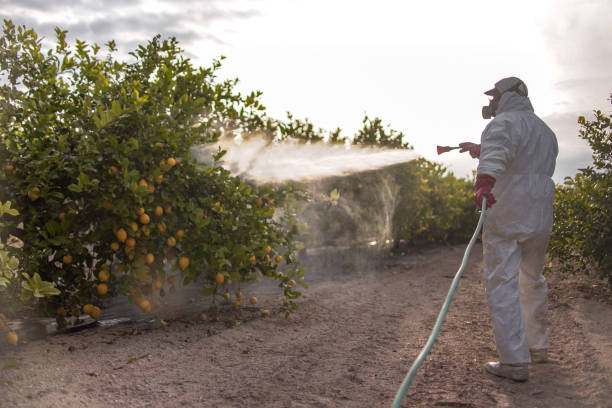 Best Cockroach Control Services  in Osakis, MN