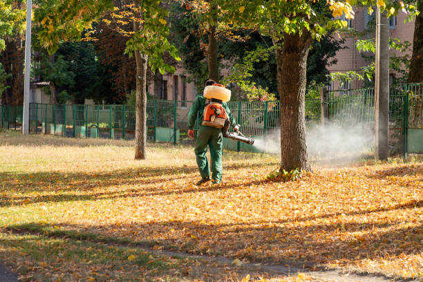 Best Wildlife Control Services  in Osakis, MN