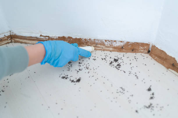 Best Pest Removal Services  in Osakis, MN